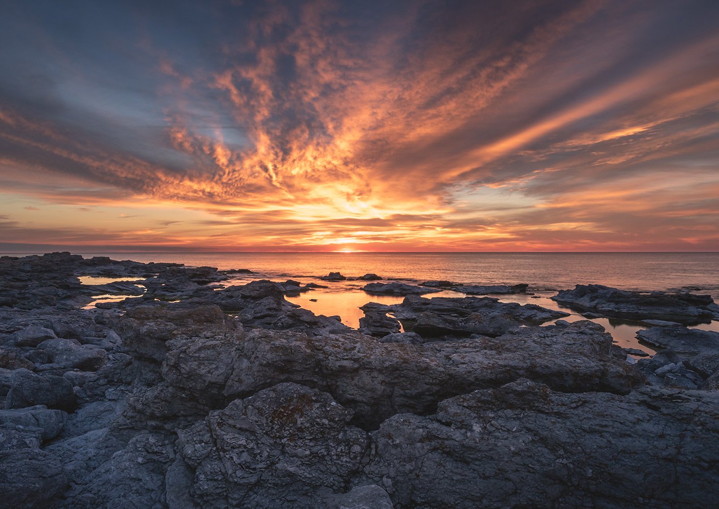 digerhuvud-4-print-produkt